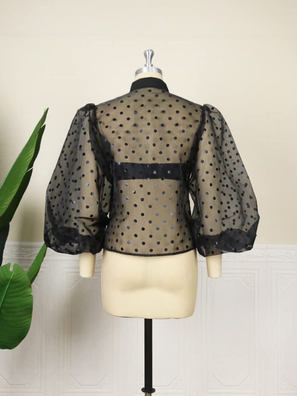 51AQ4A1kpKL.jpg Women's Button Down Shirt Polka Dots Sheer See Through Long Sleeve Blouse Mesh Sheer Puff Sleeves Top