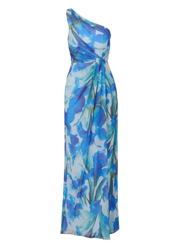 71p-enWk6GL.jpg Women's Print Chiffon Long Dress