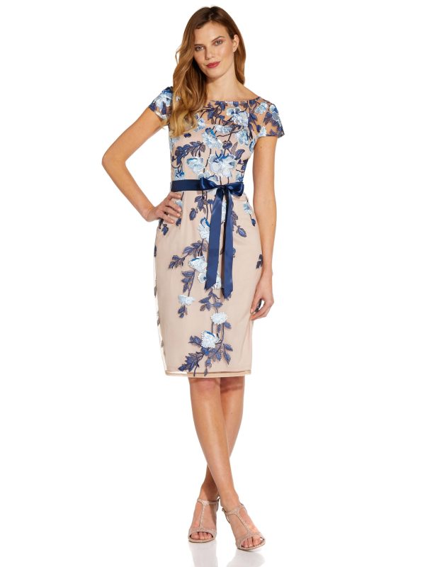 71tg94TybxL.jpg Women's Embroidered Sheath Dress