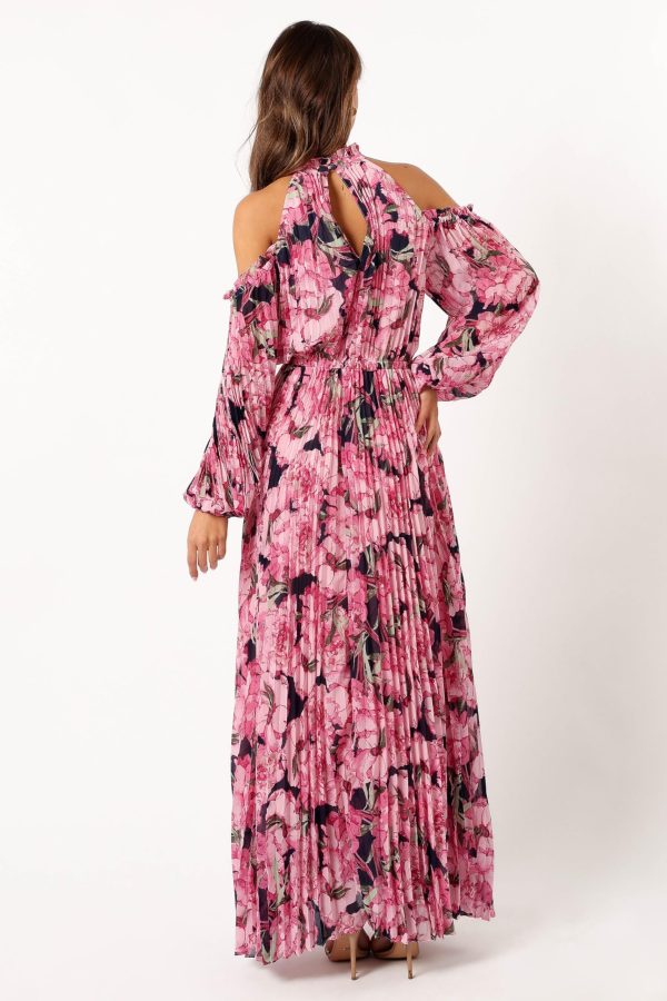 81T4v8AMRqL.jpg Women's Hilary Pleated Maxi Dress