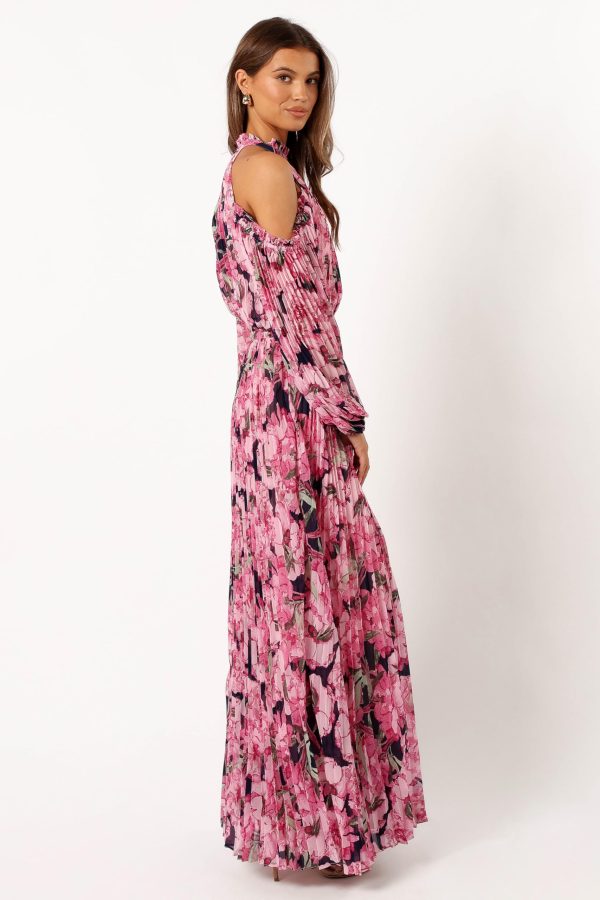 81ZcBWtK31L.jpg Women's Hilary Pleated Maxi Dress
