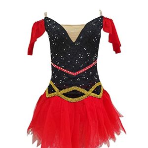 Figure Skating Dress Training Performance Girl Noble Princess Dress Three-Dimensional Embroidery